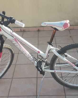 bicicletta Torpado raggio 26