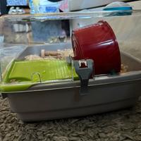 Gabbietta Criceto Nuova