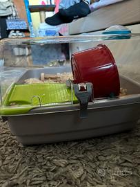 Gabbietta Criceto Nuova