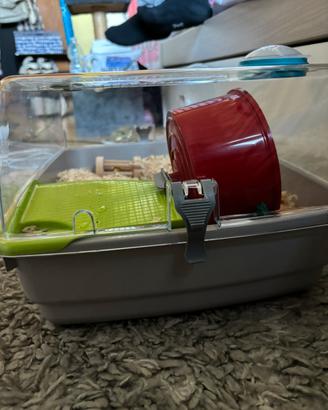 Gabbietta Criceto Nuova