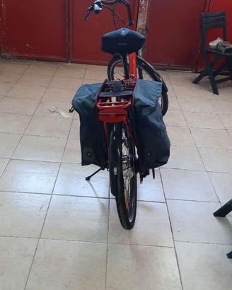 Biciclette elettriche