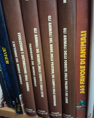 Gli Animali (4 Volumi) - Fabbri Hachette.