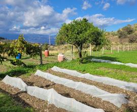 TER. AGRICOLO A REGGIO DI CALABRIA