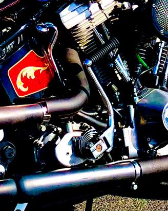 Leva- Pedale avviamento kickstart cromata HD