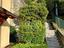 Immagine 17
