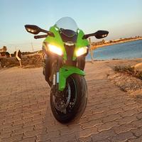 Verdona Stupenda Unica