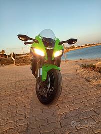 Verdona Stupenda Unica