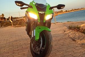 Verdona Stupenda Unica