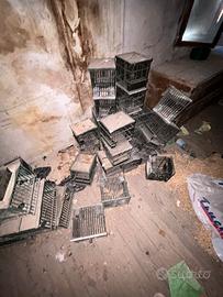 Gabbiette per trasporto uccelli