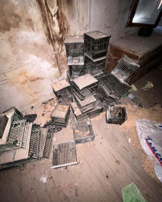 Gabbiette per trasporto uccelli