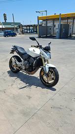 honda hornet 600