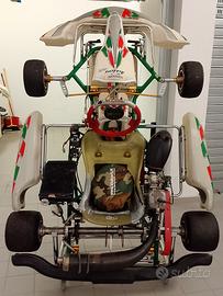 Tony kart 125cc/100cc