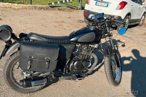 MASH 75 cc 125 custom