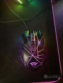 Mouse GXT
