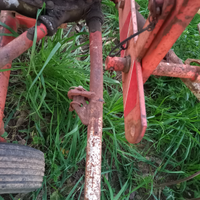 Ranghinatore kunn 301