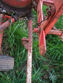 Ranghinatore kunn 301