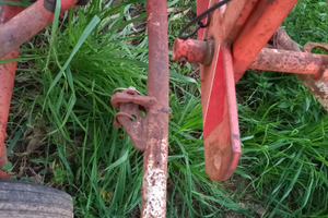 Ranghinatore kunn 301