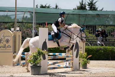 Pony da salto
