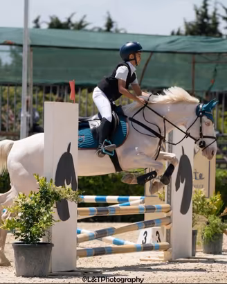 Pony da salto