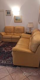 2 divani in pelle di Divani&Divani