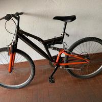 Mountain bike