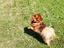 Immagine 3