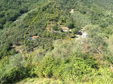 Terreno edificabile Moneglia (Ge)