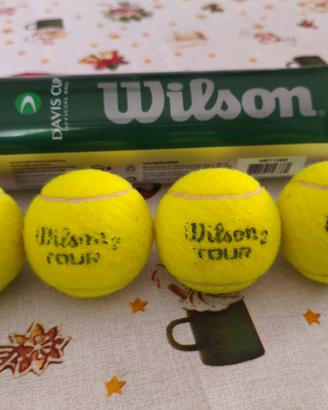 Palline da Tennis Wilson ! 