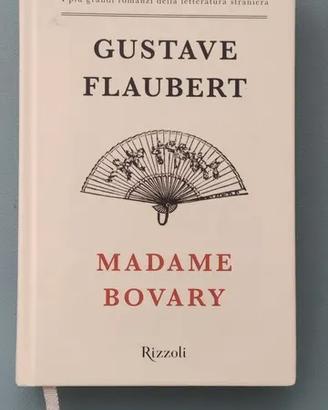 Romanzo Madame Bovary