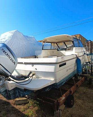Barca  americana Bayliner