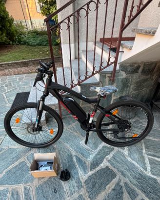 Bicicletta elettrica Wayscral