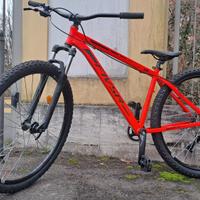 Wheelie bike 29 pollici  TG M
