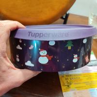 Tupperware porta biscotti 