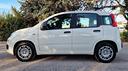 fiat-panda-1-0-firefly-s-s-hybrid