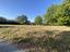 Immagine 13