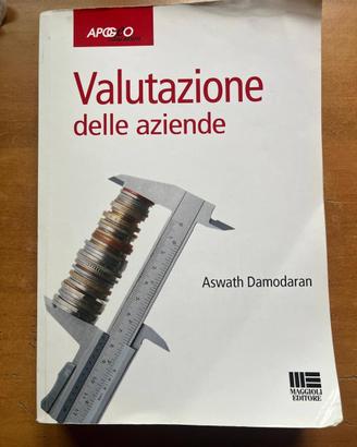 Valutazione delle aziende - Damodaran