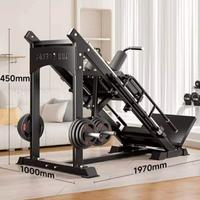 leg Press hack squat palestra 