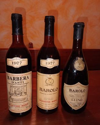 bottiglie vino Barolo e Barbera