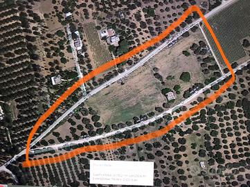 Rustico con 2 ettari di terreno