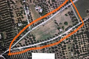 Rustico con 2 ettari di terreno