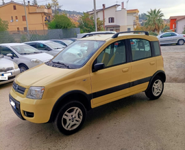 Fiat Panda 1.3Mjt 4x4