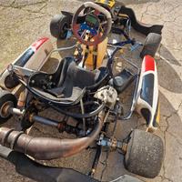Kart monomarcia