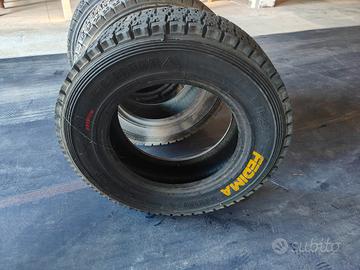 gomme da terra r15