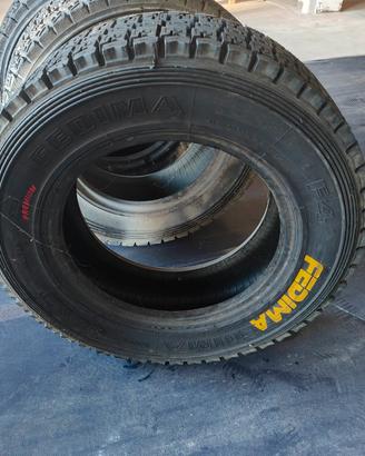 gomme da terra r15