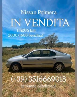 Nissan Primera