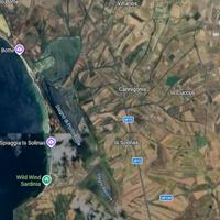 Vigneto Carignano del sulcis