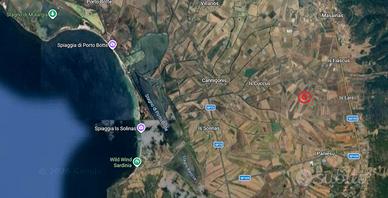 Vigneto Carignano del sulcis