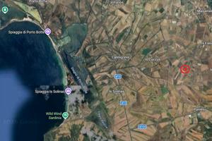 Vigneto Carignano del sulcis