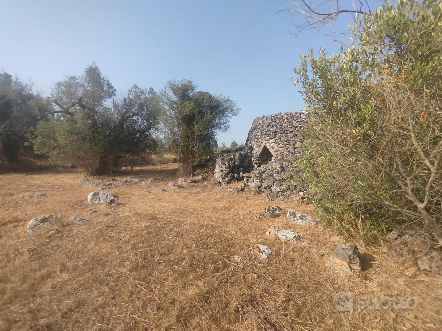 terreno agricolo zona Terrisi Parabita - Vista 2