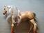 Immagine 5